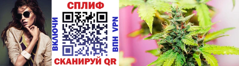 блэк спрут tor  наркотики  Чебоксары  Каннабис гибрид 